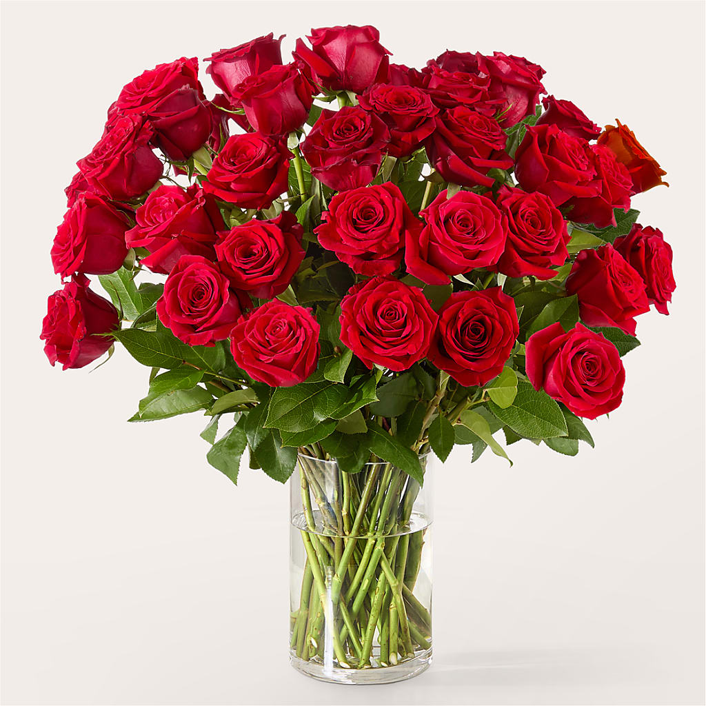The One Red Rose Bouquet – HIRT'S FLOWERS INC, Strongsville OH