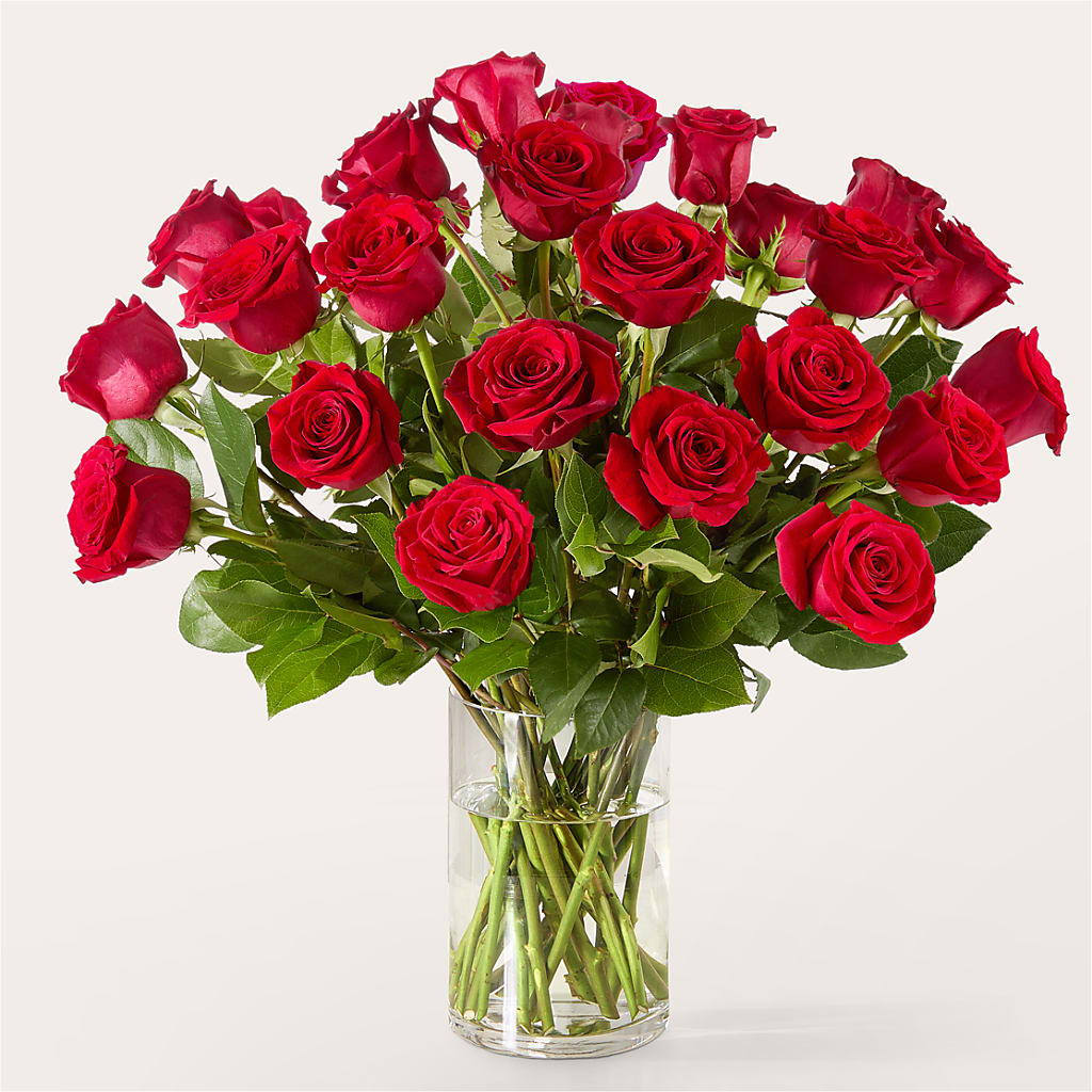The One Red Rose Bouquet – HIRT'S FLOWERS INC, Strongsville OH