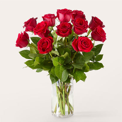 The One Red Rose Bouquet – HIRT'S FLOWERS INC, Strongsville OH