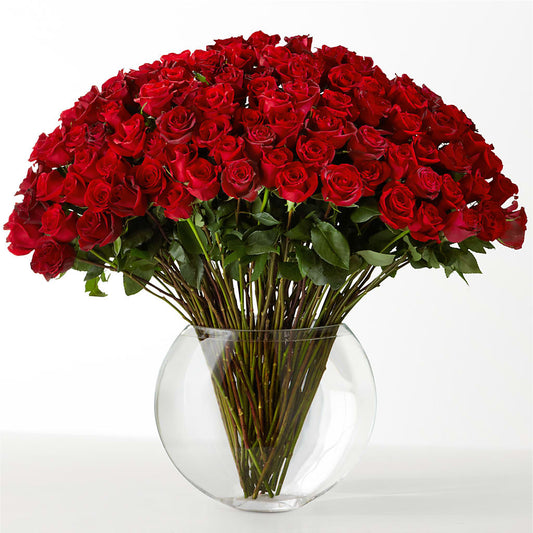 The Idealist – HIRT'S FLOWERS INC, Strongsville OH