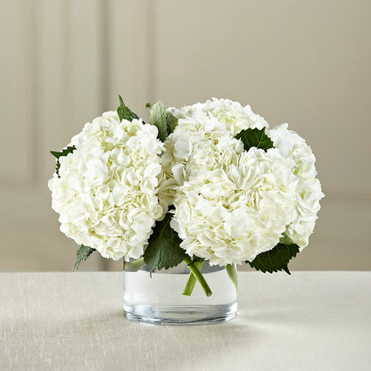 White Hydrangea Bouquet – HIRT'S FLOWERS INC, Strongsville OH